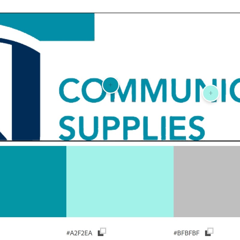 Agency Website